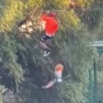 Vídeo: menino cai de tirolesa de 12 metros e sobrevive sem ferimentos