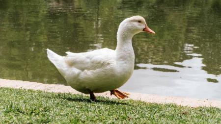 O jovem foi encontrado sem vida pelos vizinhos