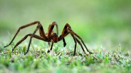 O local está fechado desde a última terça-feira (1º)