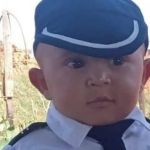 Criança de 2 anos morre após ser picada por cascavel em acampamento em São Paulo