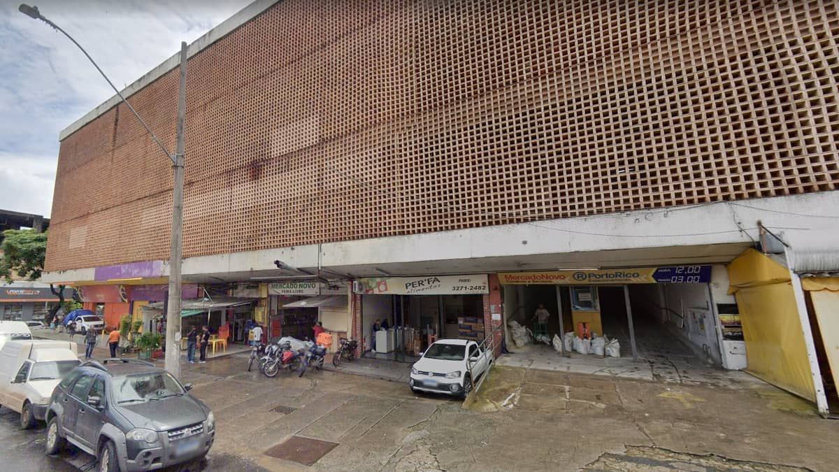 Mercado Novo adia feira de adoção de gatos que vivem no local