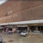 Mercado Novo adia feira de adoção de gatos que vivem no local