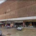 Mercado Novo adia feira de adoção de gatos que vivem no local