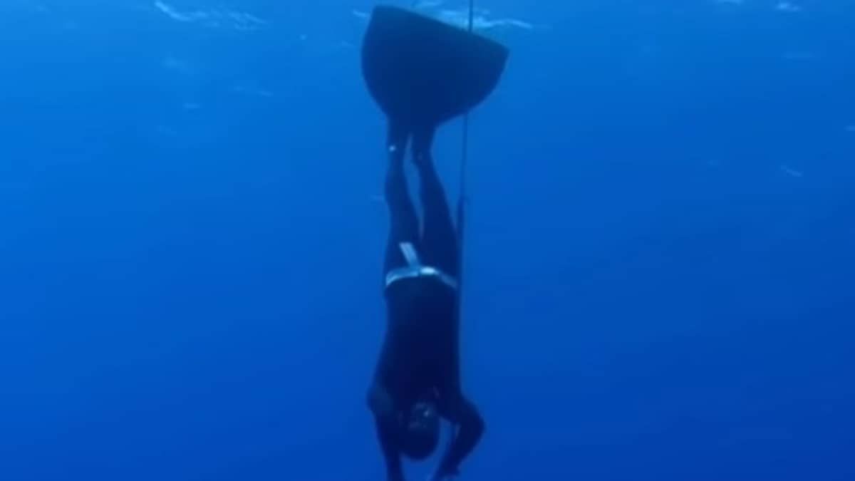 Mergulhador sobrevive a ataque de tubarão no Caribe