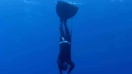 O mergulhador ficou com ferimentos nos braços e nas pernas