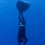 Mergulhador sobrevive a ataque de tubarão no Caribe