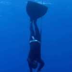 Mergulhador sobrevive a ataque de tubarão no Caribe