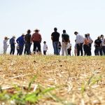 BDMG investe em capacitações para práticas de agricultura sustentável