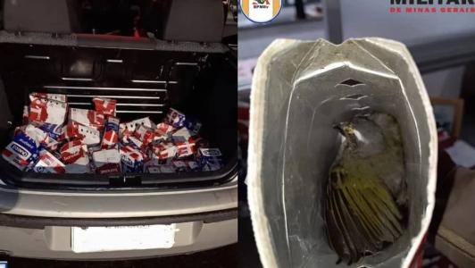 O motorista confessou ser proprietário dos animais