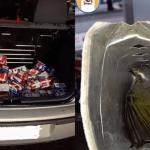Polícia resgata pássaros trinca-ferro em porta-malas de carro na MGC-491, em Minas