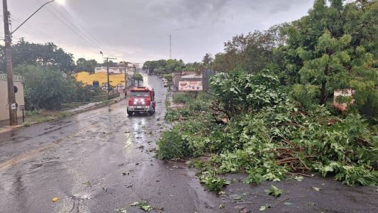 O município de Ituiutaba, no Triângulo Mineiro, sofreu com as fortes chuvas e, em vários pontos da cidade, os Bomebeiros foram acionados para quedas de ávores e postes