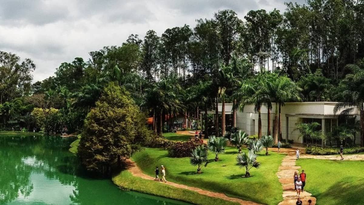 Inhotim terá mais um dia de visitas gratuitas; saiba quando será