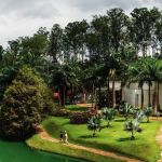 Inhotim terá mais um dia de visitas gratuitas; saiba quando será