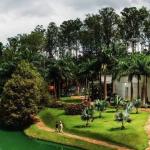 Inhotim terá mais um dia de visitas gratuitas; saiba quando será