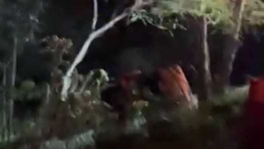 O ônibus caiu de uma ribanceira de aproximadamente nove metros