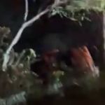 'Se não fosse o cinto de segurança eu teria morrido', diz passageiro de ônibus RJ-BH