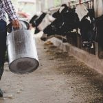 Pecuarista será indenizado por ficar 20 horas sem luz e perder produção em Minas