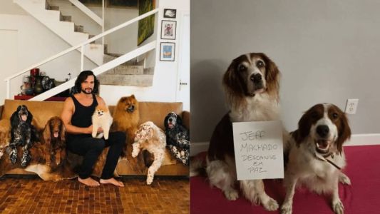 O perfil do ator Jeff Machado postou homenagens feitas pelos cães neste sábado (27)