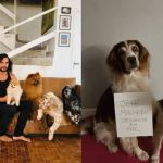 Jeff Machado é homenageado pelos cães em postagem na rede social 