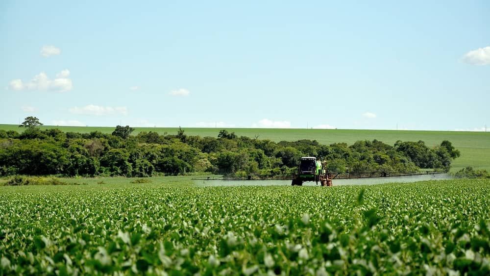Nova Lei dos Agrotóxicos: saiba o que deve impactar na vida do produtor rural