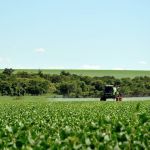 Nova Lei dos Agrotóxicos: saiba o que deve impactar na vida do produtor rural