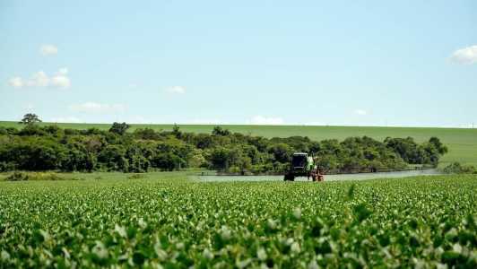 O PL define como ‘proibido’ o registro de pesticidas, de produtos de controle ambiental e afins que apresentem risco para os seres humanos