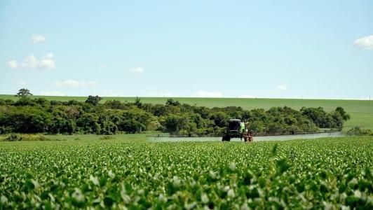 O PL define como ‘proibido’ o registro de pesticidas, de produtos de controle ambiental e afins que apresentem risco para os seres humanos