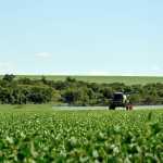 Nova Lei dos Agrotóxicos: saiba o que deve impactar na vida do produtor rural