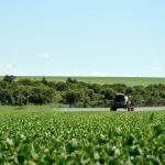 Nova Lei dos Agrotóxicos: saiba o que deve impactar na vida do produtor rural