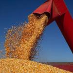 Ministério da Agricultura prepara lançamento do Plano Safra 2023/2024 para final de junho