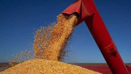 O Plano Safra é fundamental para que os produtores possam se planejar para as próximas safras