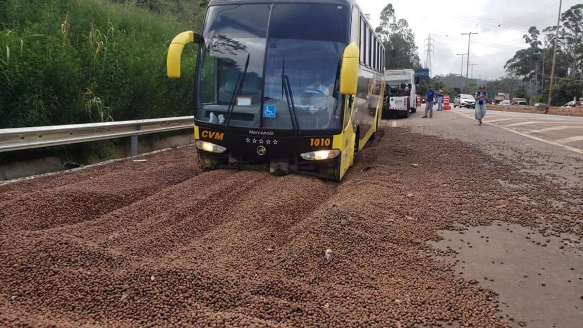 Vídeo: veja o momento em que ônibus com 42 passageiros usa área de escape do Anel e evita acidente