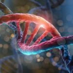 Publicado primeiro 'pangenoma' humano, essencial para o tratamento de doenças raras