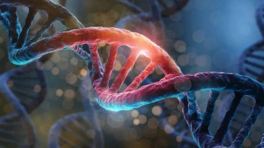 O primeiro "pangenoma" humano foi publicado, nesta quarta-feira (10), por um grupo de cientistas.