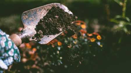 O processo de compostagem humana consiste em transformar os restos mortais em solo
