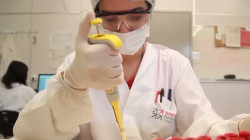 O processo seletivo contempla 25 vagas temporárias