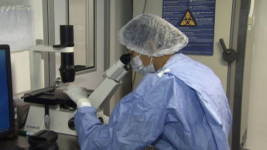 O próximo passo será verificar a eficácia do tratamento em um estudo mais amplo, com cerca de 100 pacientes