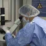 Experimento com células-tronco neurais traz esperança para pacientes com esclerose