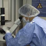 Experimento com células-tronco neurais traz esperança para pacientes com esclerose