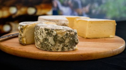 O Queijo Minas Artesanal tem a casca mais rugosa, a parte interna mais cremosa e o sabor mais suave