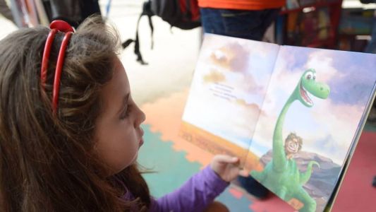 O relatório mostra ainda que cerca de 24% dos alunos brasileiros dominam apenas as habilidades básicas de leitura