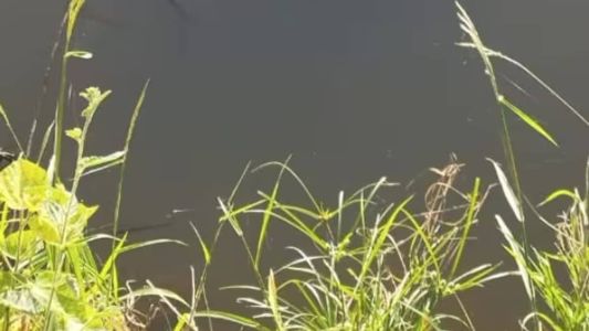 O suspeito confirmou o crime aos militares no momento da abordagem