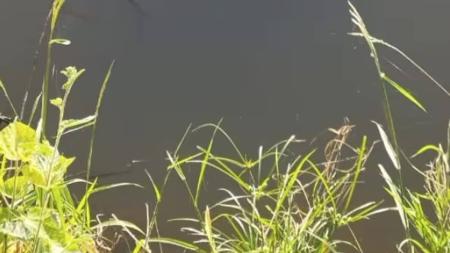 O suspeito confirmou o crime aos militares no momento da abordagem
