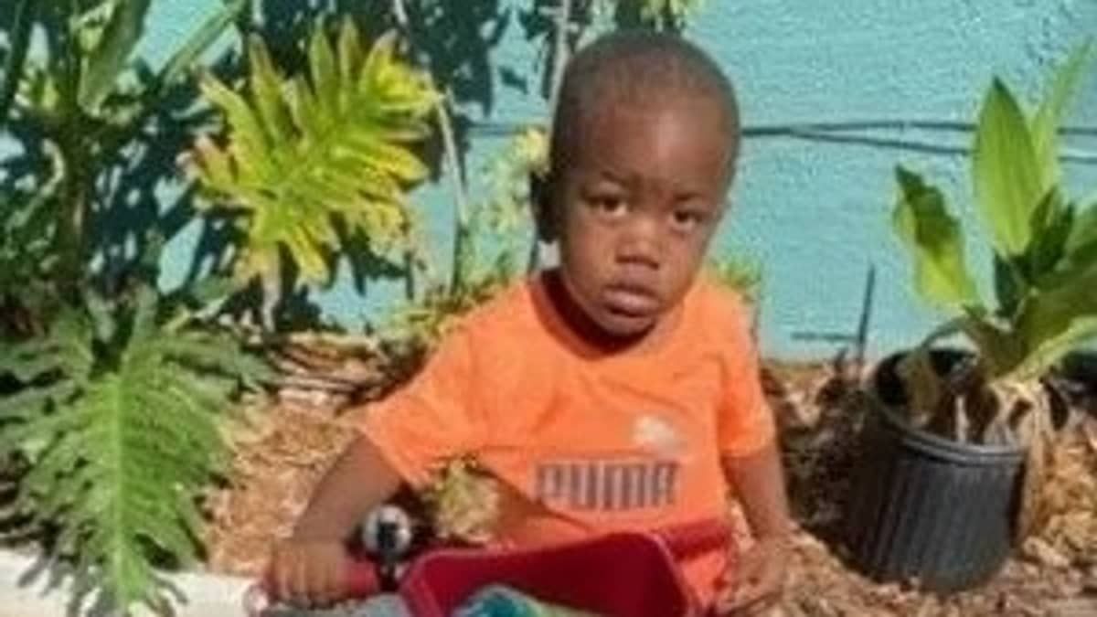 Pai é suspeito de matar mulher e filho, e corpo da criança é encontrado na boca de um crocodilo