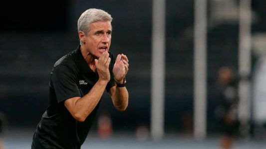 O técnico Luís Castro durante partida do Botafogo no Nilton Santos