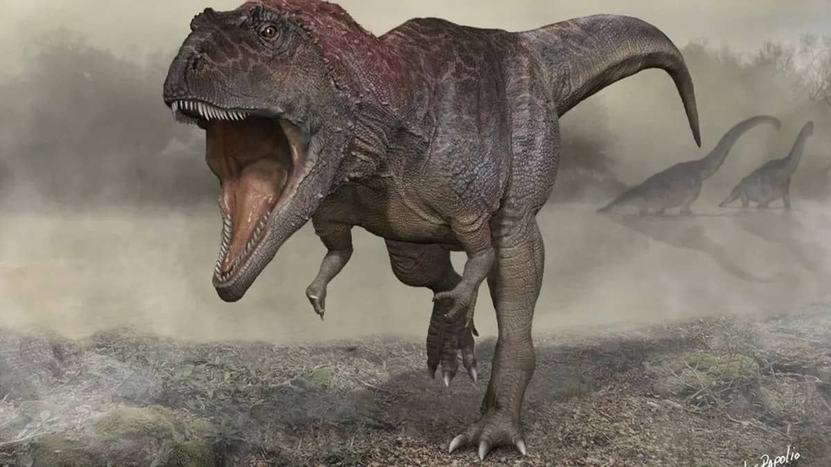 Cientistas encontram vestígios de quatro tipos de dinossauros na Patagônia chilena