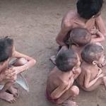 Seis crianças Yanomami estão em abrigos em Roraima