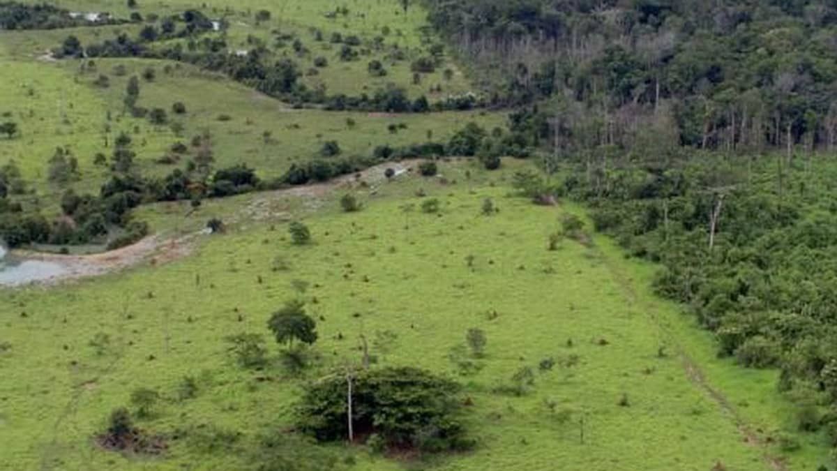 Prazo para entrega da Declaração do Imposto Territorial Rural termina nesta sexta-feira (29)