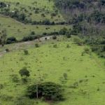 Prazo para entrega da Declaração do Imposto Territorial Rural termina nesta sexta-feira (29)