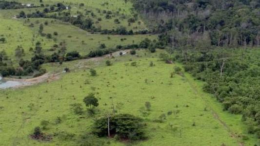 O tributo deve ser pago por pessoas física ou jurídica que possuam, a qualquer título, imóvel rural